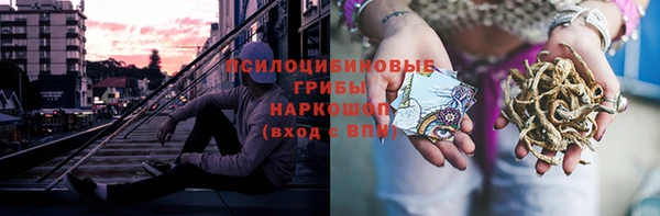 спиды Аркадак