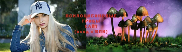 дмт Армянск