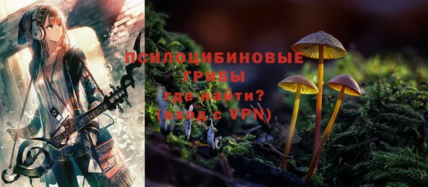 спиды Аркадак