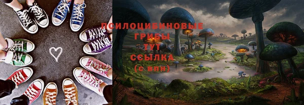 спиды Аркадак