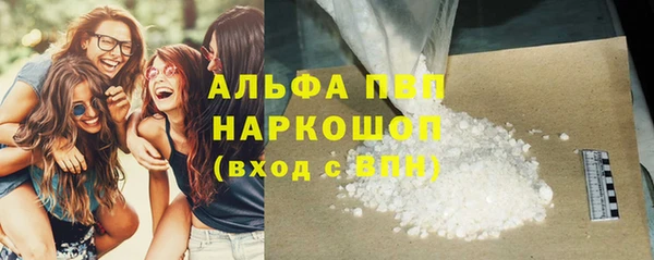 индика Балахна