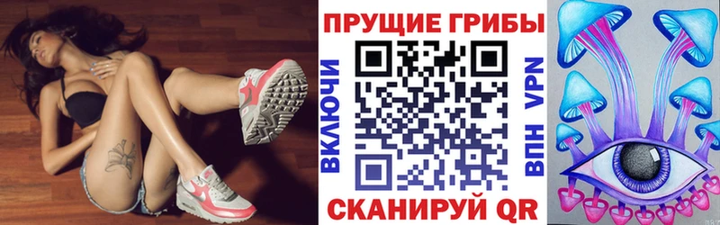 Псилоцибиновые грибы Cubensis  Купить где  Ардатов 